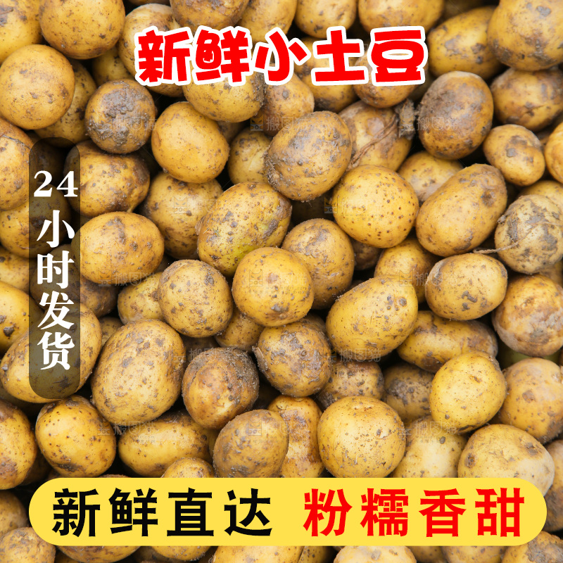 小土豆纹理