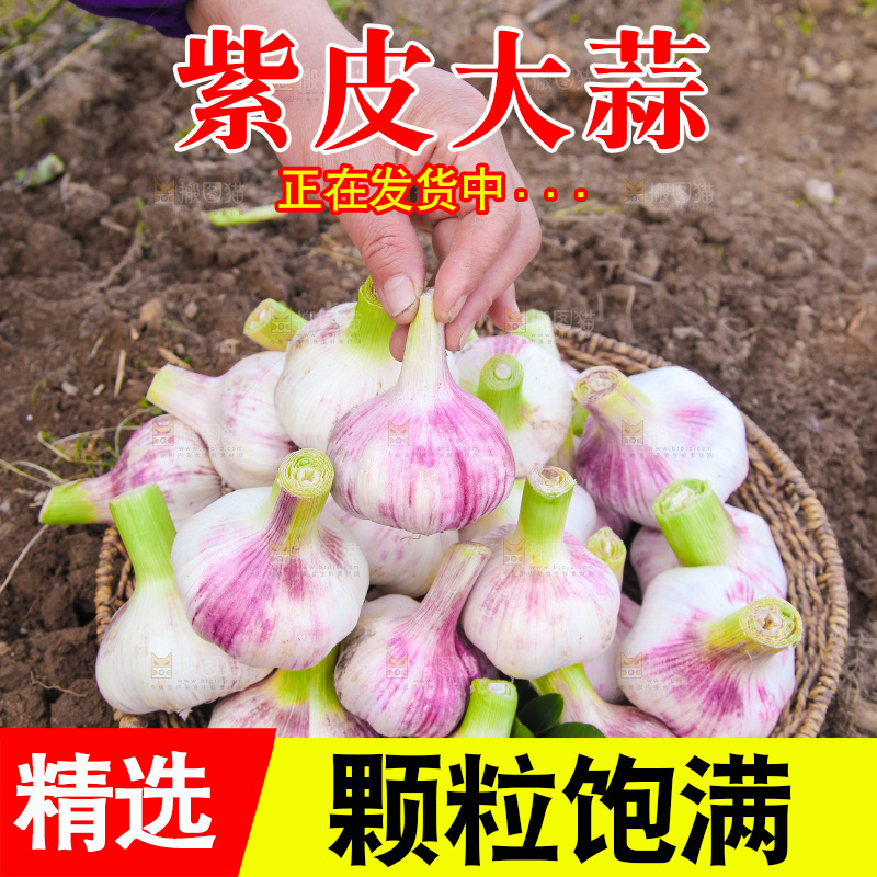 一篮紫皮大蒜