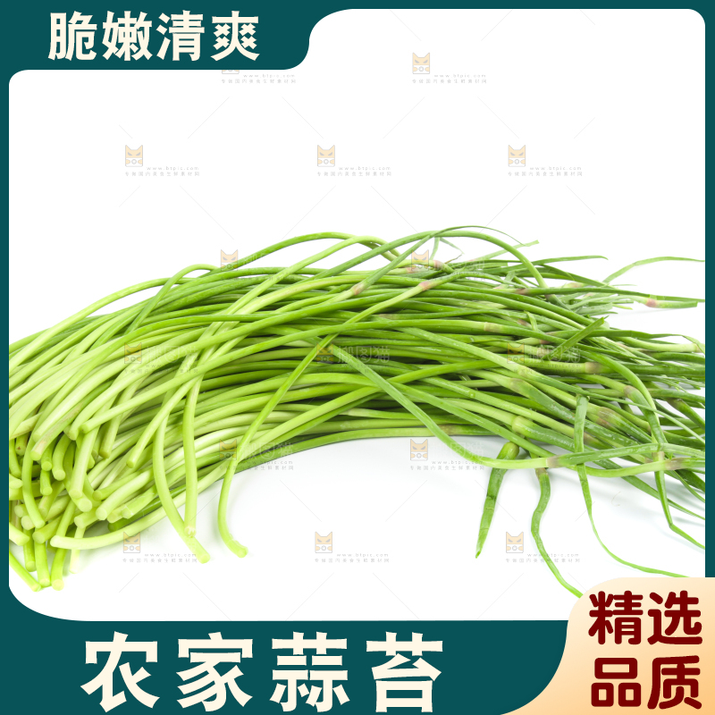 白底上的新鲜蒜苔