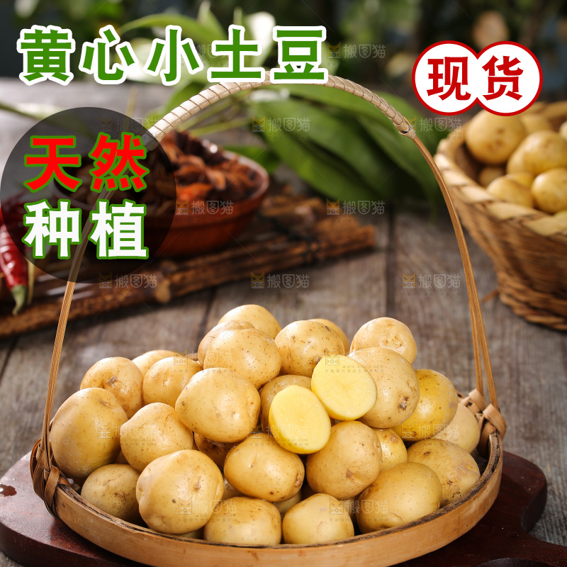 一篮新鲜小土豆