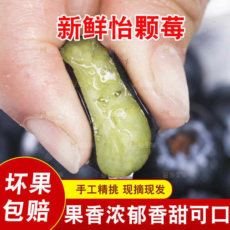 手里爆汁的蓝莓