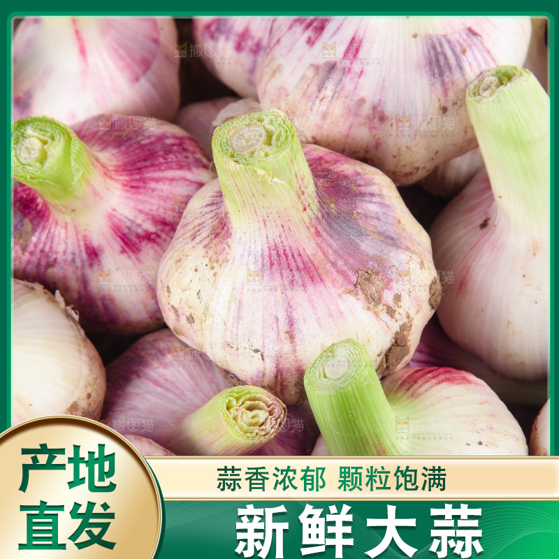 新鲜大蒜纹理