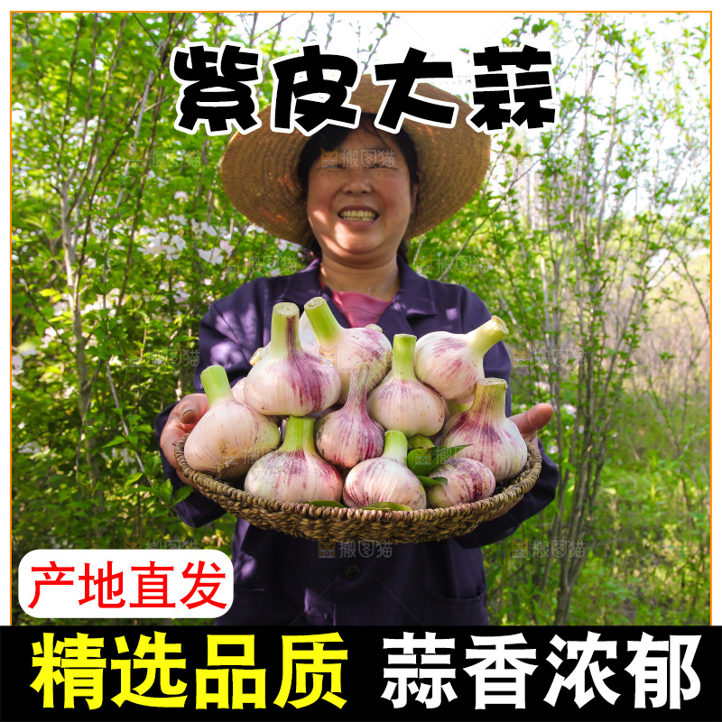手里端着一篮新鲜大蒜