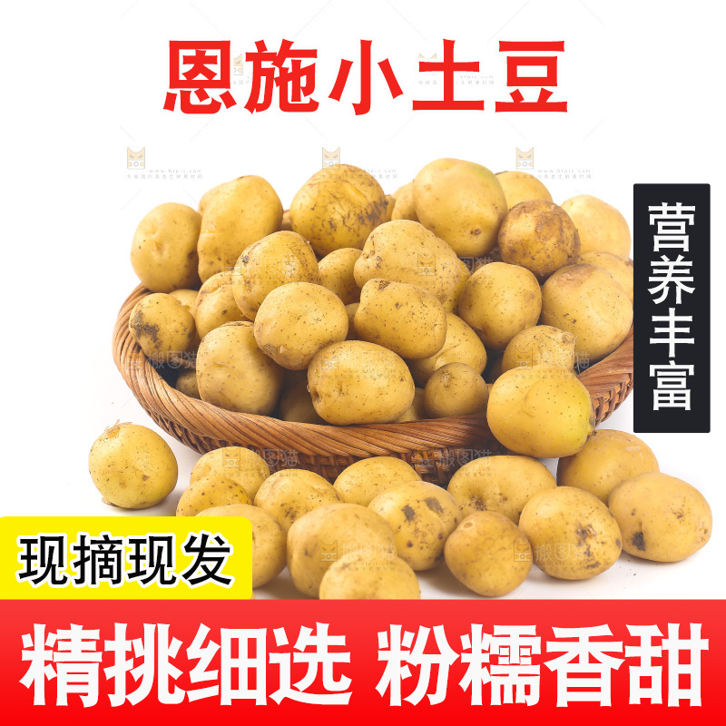 一篮小土豆
