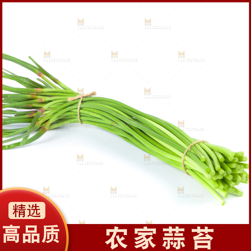白底上的河南蒜苔