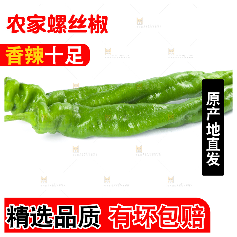 白底上摆放着青螺丝椒