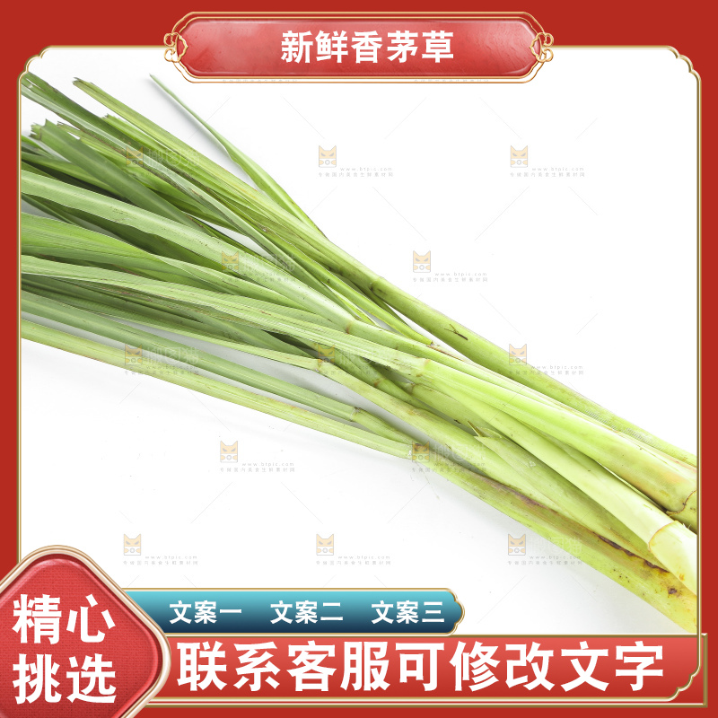 白底上的越南柠檬草