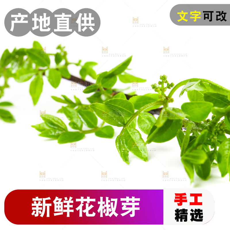 白底上放着花椒芽
