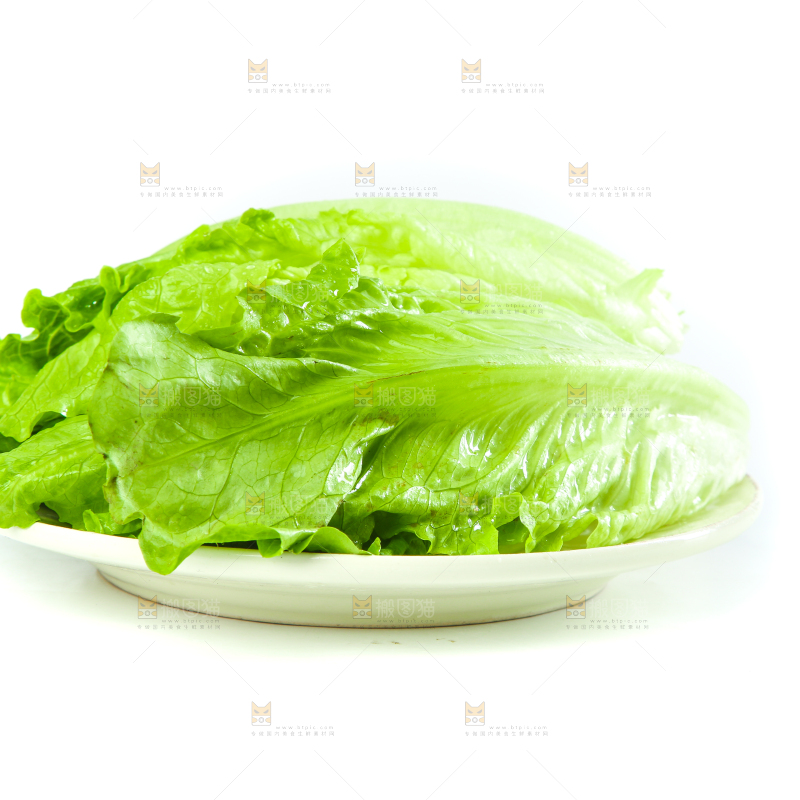 白底上的生菜