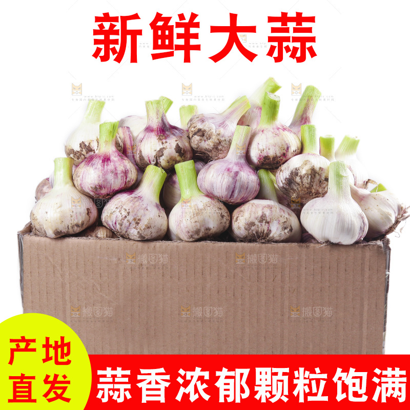 一箱新鲜大蒜