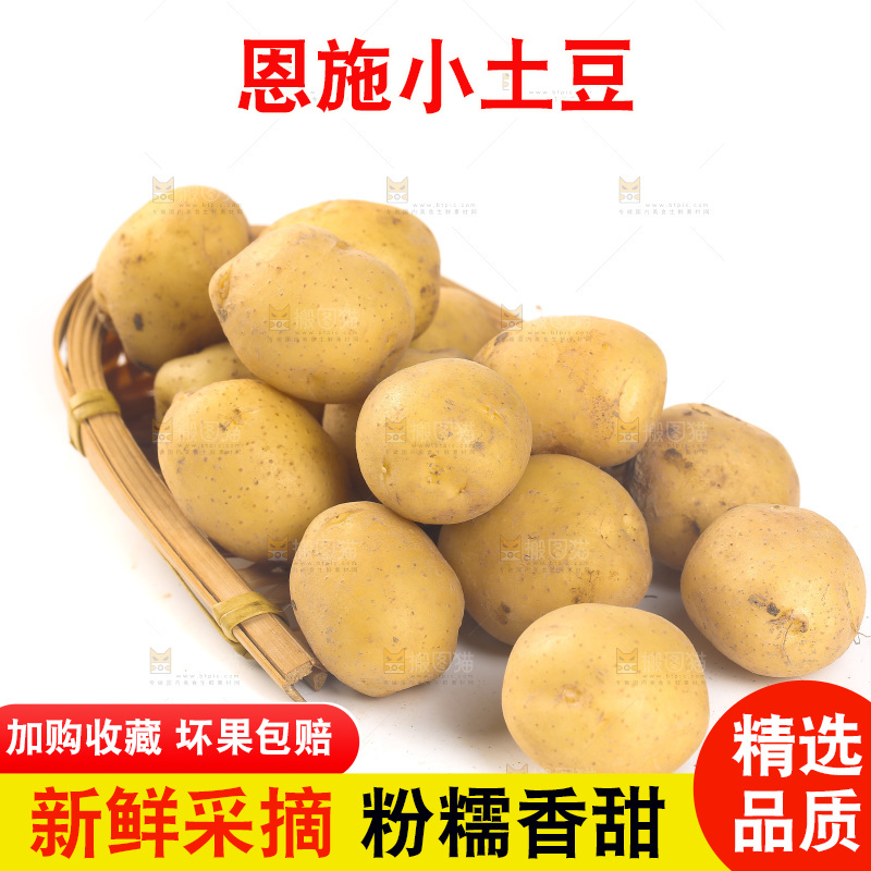 一篮小土豆