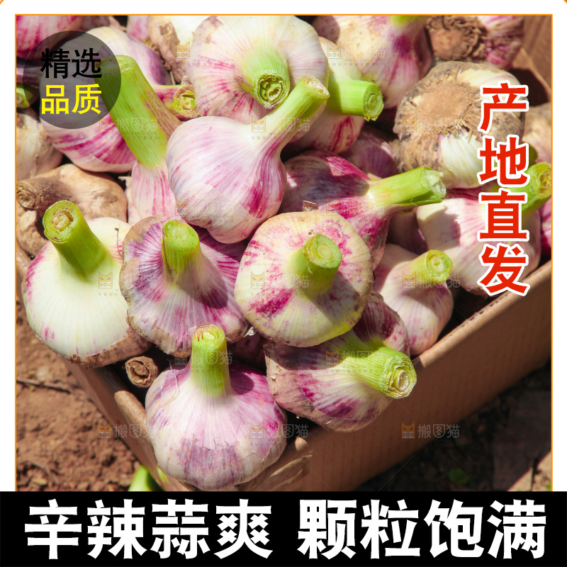 一箱新鲜大蒜