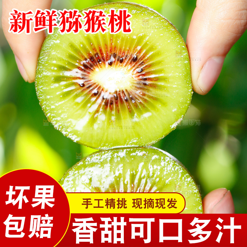 手拿切开的四川红心猕猴桃
