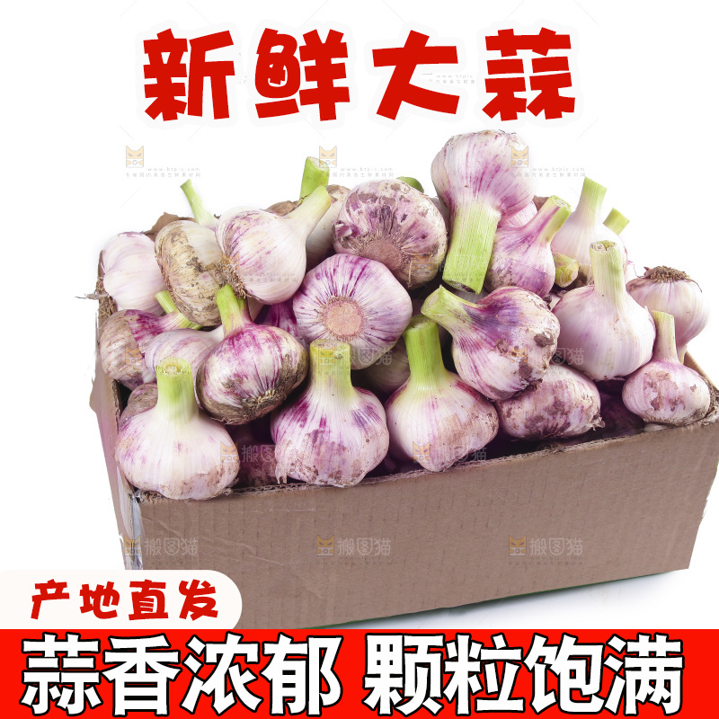 一箱新鲜大蒜