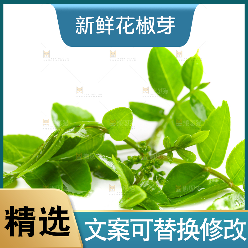 白底上放着花椒芽