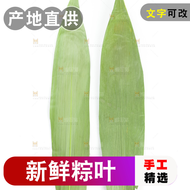 白底上的天然粽叶