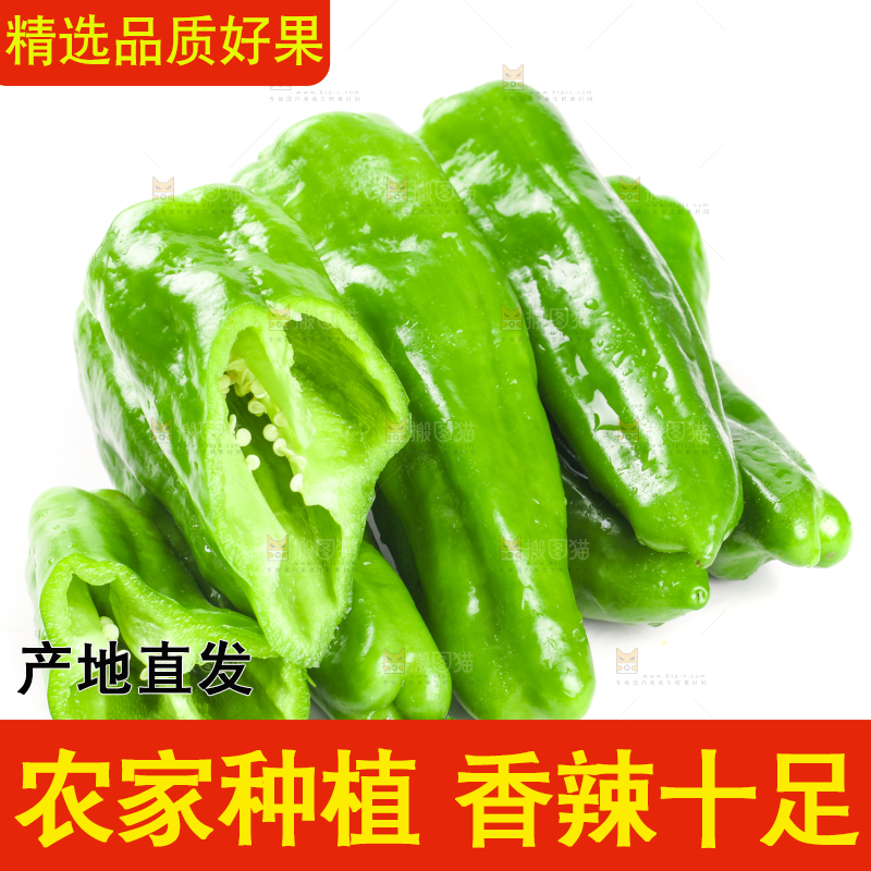 白底上的大青椒