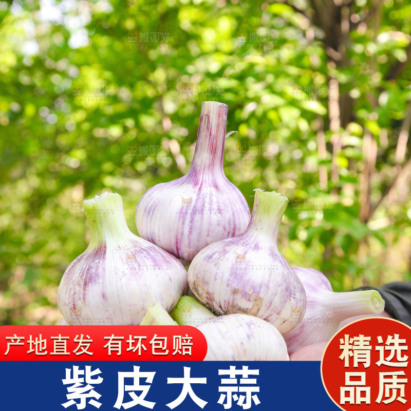 手里捧着鲜蒜