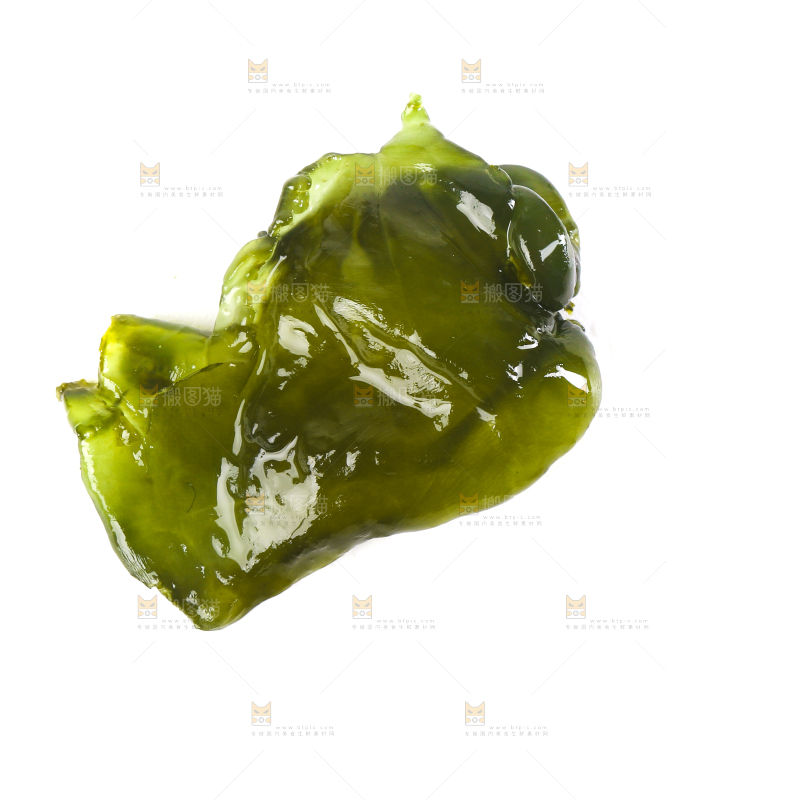 白底上的地皮菜
