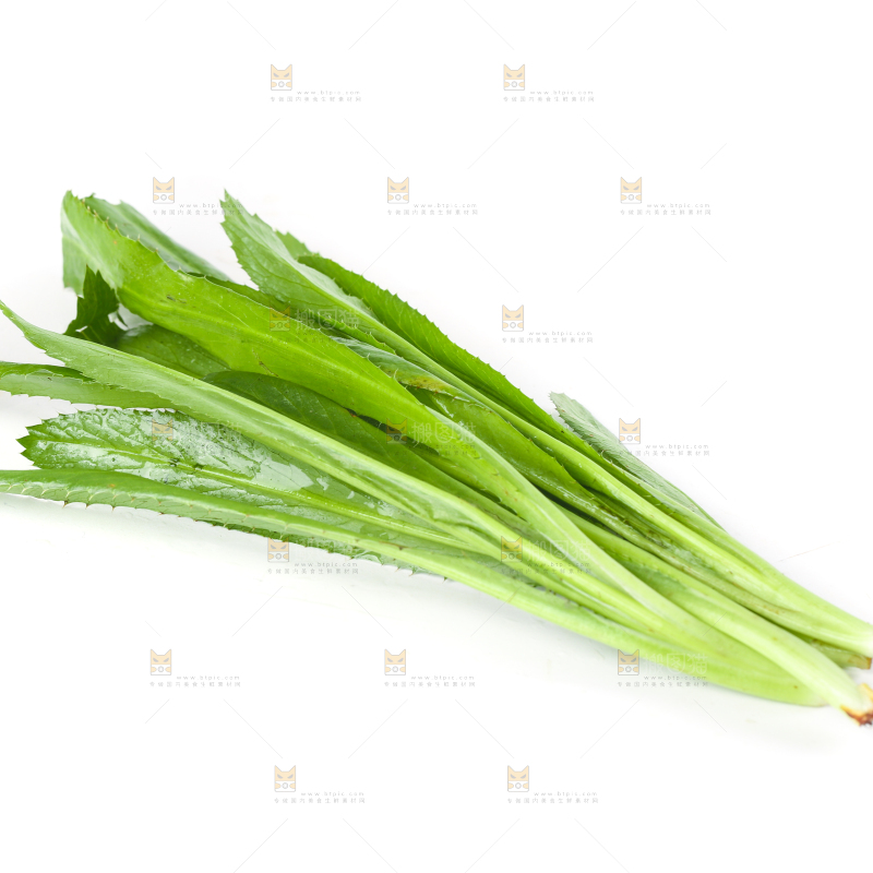 白底上的大香菜