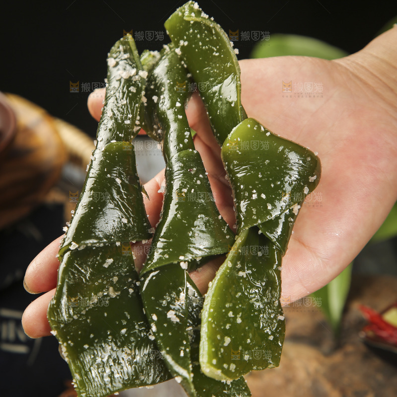 手里拿着海带结