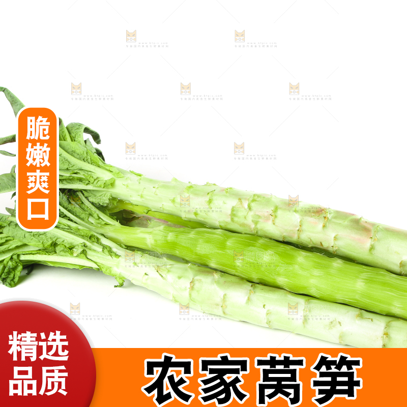 白底上摆放着莴笋