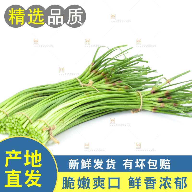 白底上的河南蒜苔
