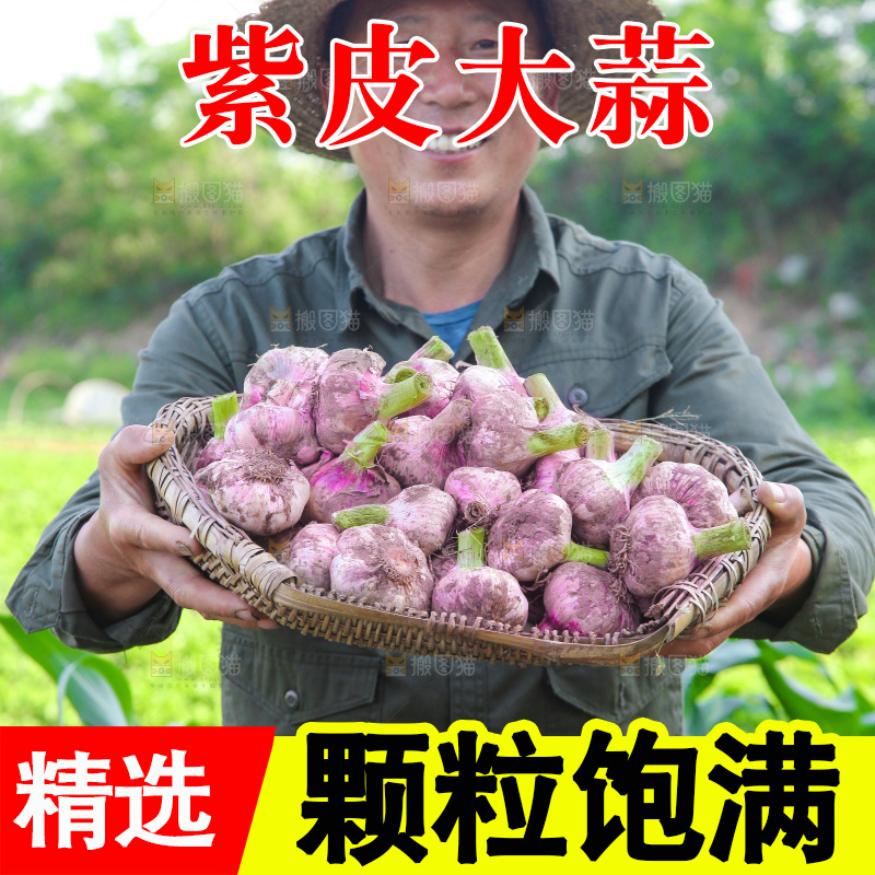 手里端着一篮新鲜大蒜