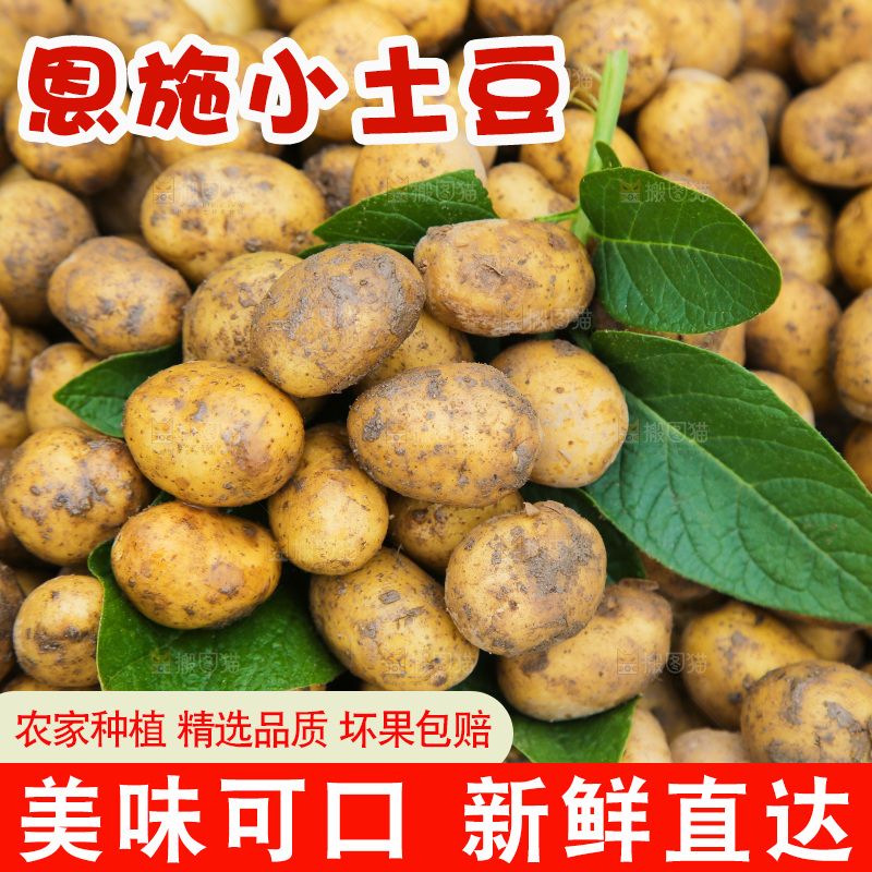 小土豆纹理