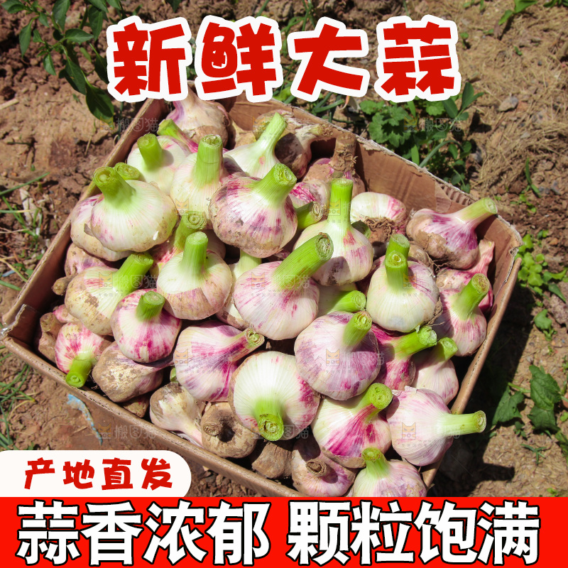 一箱新鲜大蒜