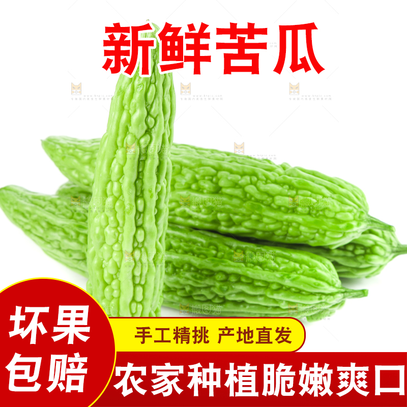 白底上摆放着凉瓜