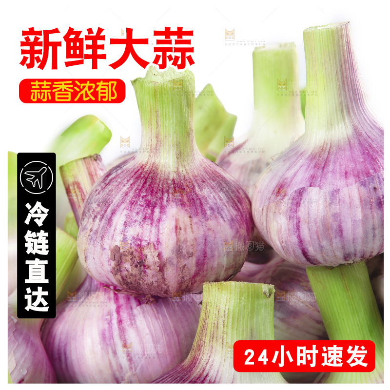 新鲜大蒜纹理