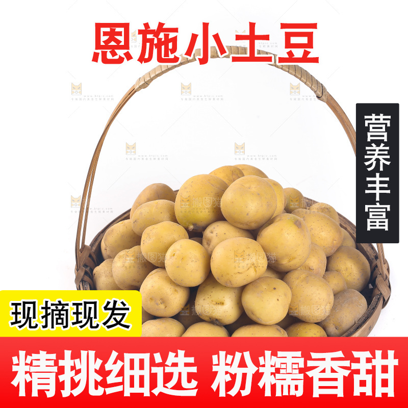 一篮小土豆