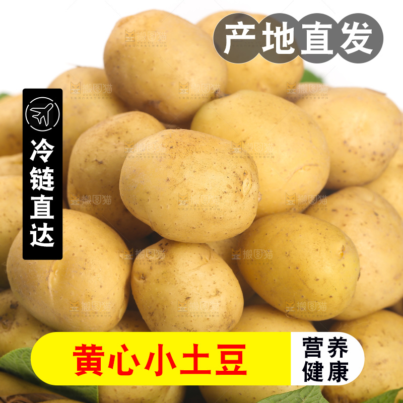 一堆恩施小土豆