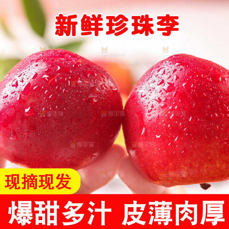 手拿珍珠李
