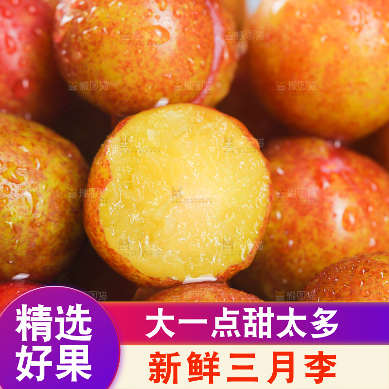 三月李纹理