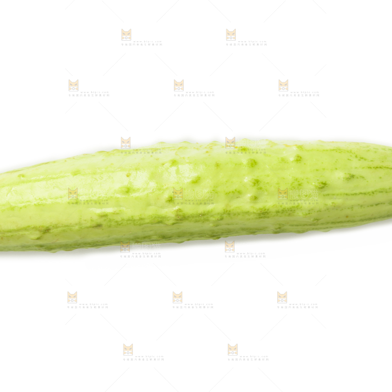 一条黄瓜放在白底上