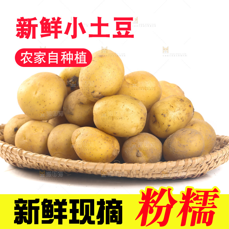 一篮小土豆