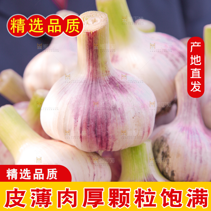 手里端着一篮新鲜大蒜