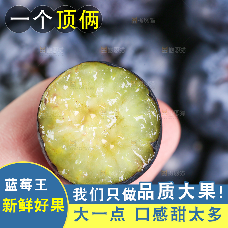 手里拿着蓝莓