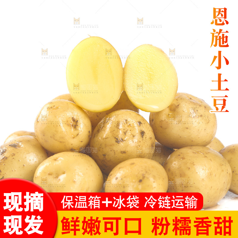 一堆新鲜小土豆
