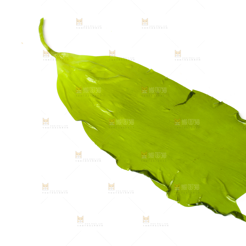白底上放着海带苗