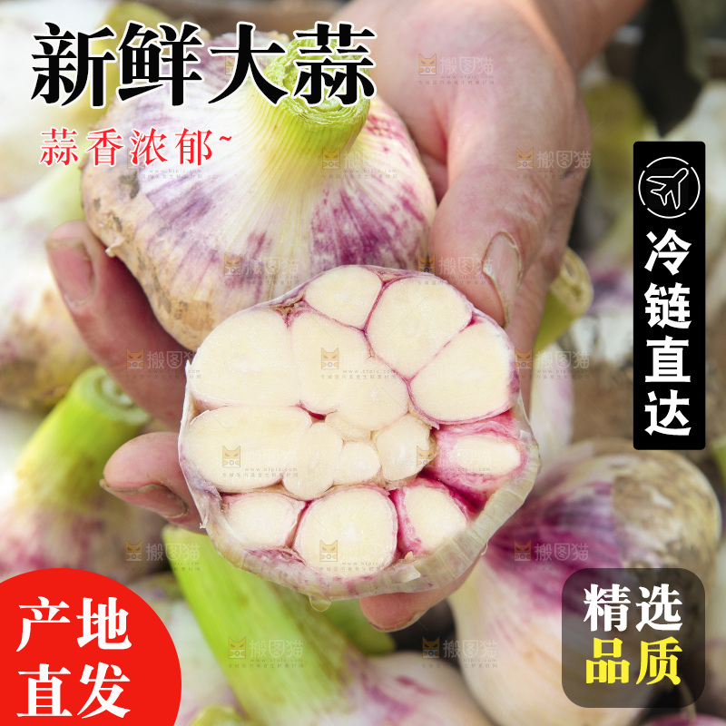 新鲜大蒜纹理