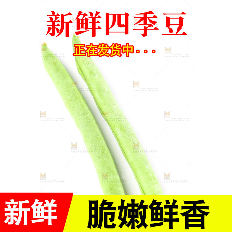 白底上摆放着四季豆