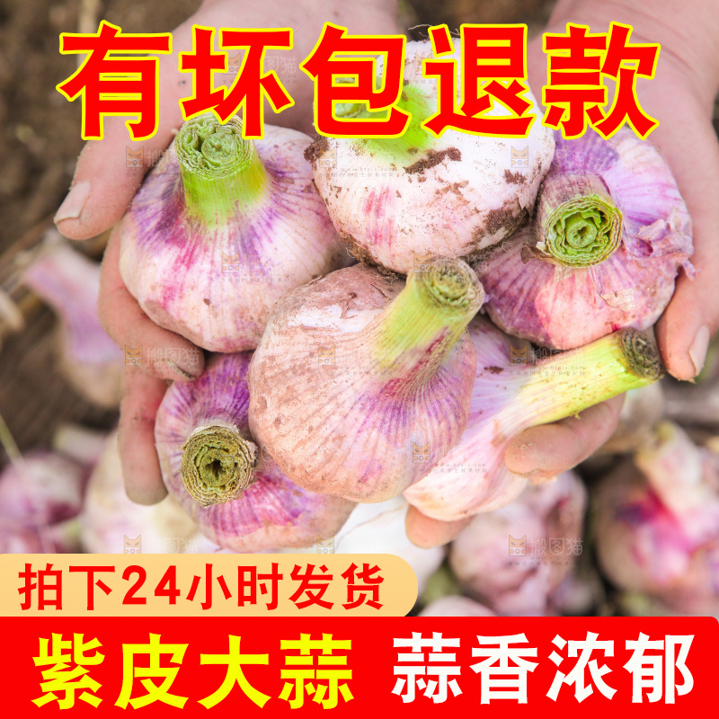 手里捧着大蒜
