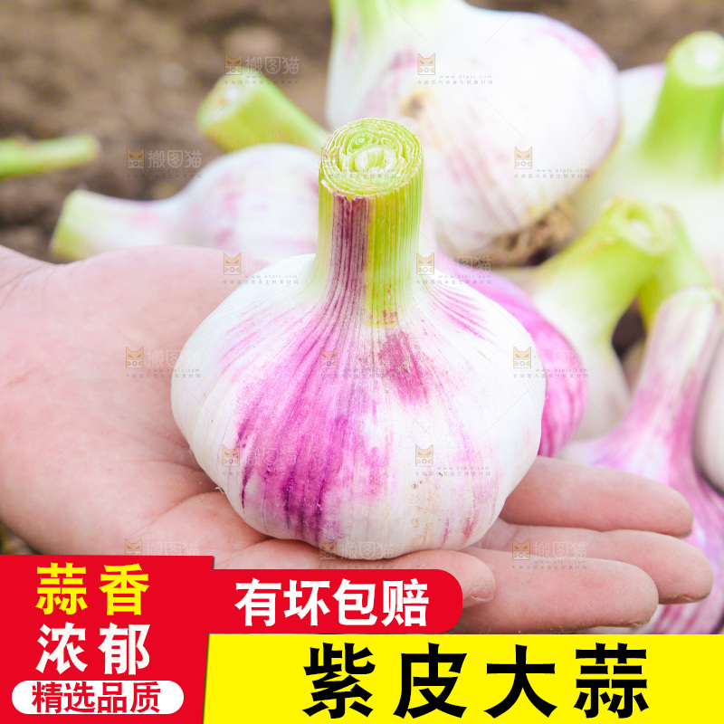 手里拿着大蒜