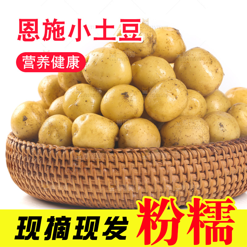 一篮小土豆