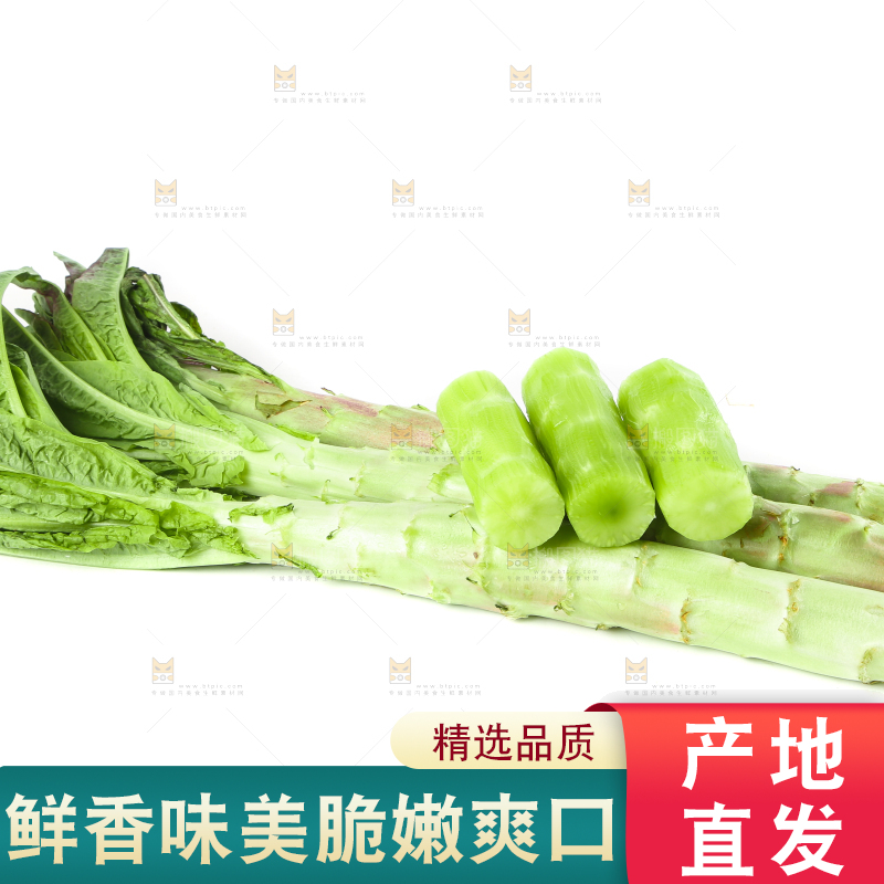 白底上摆放着莴笋