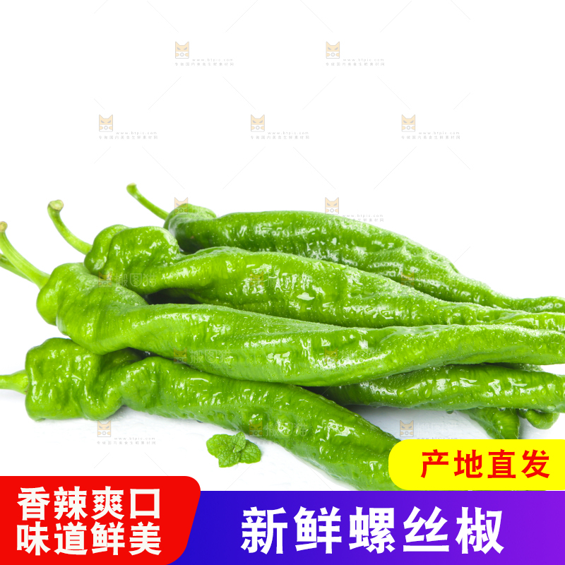 白底上摆放着青螺丝椒