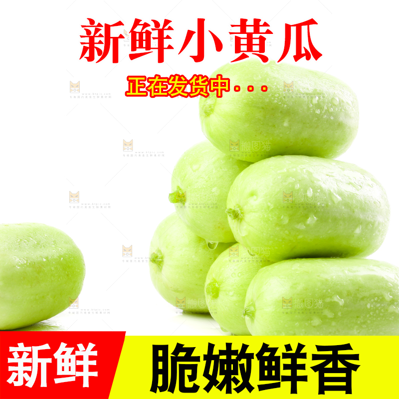 白底上的拇指小黄瓜